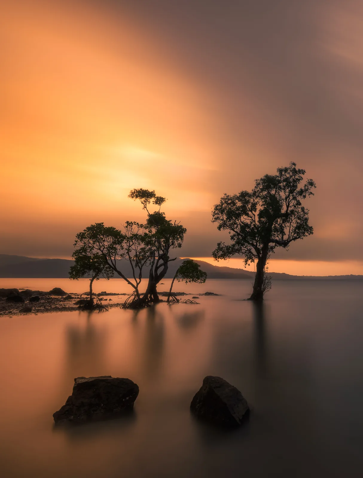 Sunset over still waters and coastal trees in Andaman